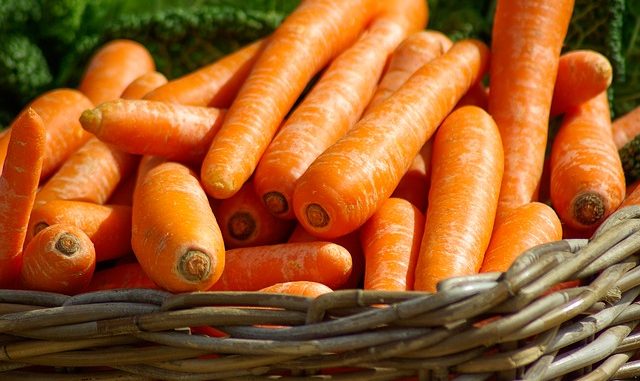 panier de carottes